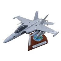 VAQ-135 EA-18G Custom Airplane Model 