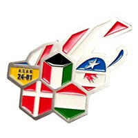 386 EMDS ASAB 24-01 Challenge Coin