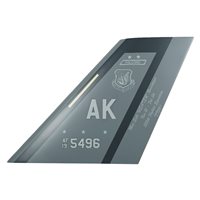 355 FS Falcons F-35A Tail Flash