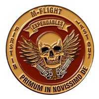 55 LRS Offutt AFB Nebraska Challenge Coin