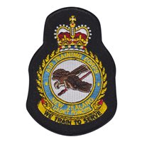 ATC NZ Cadet Forces RNZAF Patch