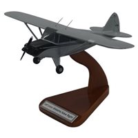 Piper PA-20 Pacer Custom Aircraft Model