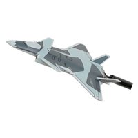 PLAAF J-20 Custom Airplane Model Briefing Sticks