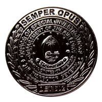 OSI Det 602 Inspector General Challenge Coin