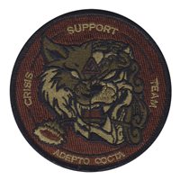 17 IS Crisis Support Team OCP Patch 