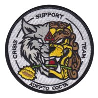 17 IS Crisis Support Team Patch 