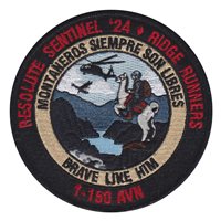 C Co 1-150 AVN Brave Patch