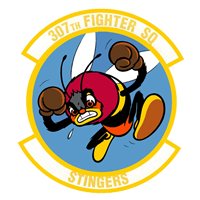 307 FS Patch 
