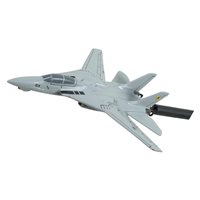 VFA-213 F-14 Tomcat Briefing Stick