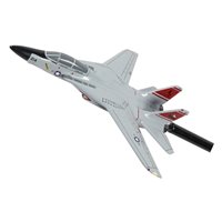 VF-31 F-14 Tomcat Briefing Stick