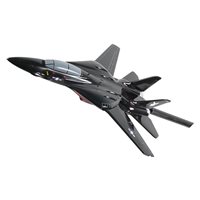 VX-4 F-14 Tomcat Briefing Stick