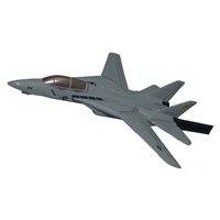 VFA-25 F-14 Tomcat Briefing Stick