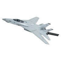 VF-101 F-14 Tomcat Briefing Stick