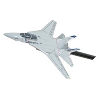 VF-143 F-14 Tomcat Briefing Stick