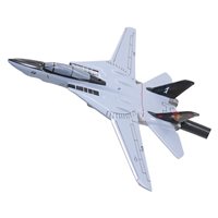 VF-11 F-14 Tomcat Briefing Stick
