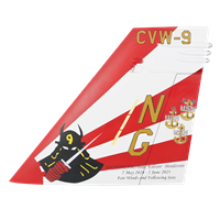 CVW-9 F/A-18 Hornet Tail Flash