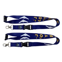 15 TES Lanyard 