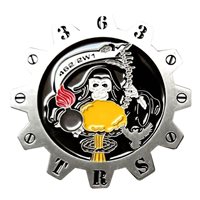 363 TRS Sidewinders Challenge Coin