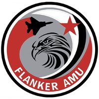 USAF Aggressors Flanker AMU Patch
