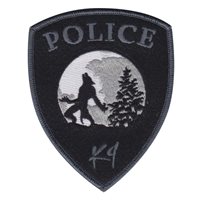 Aviation Challenge Instructor Patch