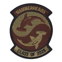 AFROTC Det 005 Hammerhead OCP Patch