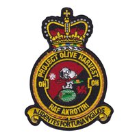 1 ERS Project Olive Harvest Snoopy Patch