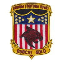 ARNG Missouri Bobcat GOLD Patch
