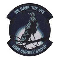 RMR Survey Group We Have The Eye Patch