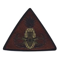 154 CES Pineapple OCP Patch