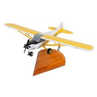 CubCrafters NXCub Custom Aircraft Model
