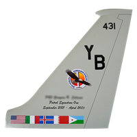 VP-1 P-8 Poseidon Custom Airplane Tail Flash