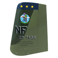 23rd TASS A-10 Airplane Tail Flash