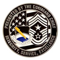 325 FW Tyndall AFB FL Challenge Coin