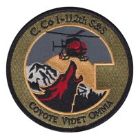 C Co 1-112 S&S AVN Coyote Patch