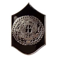 1 SOW CMSgt Challenge Coin