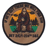 C 1-224 S&S Det 2 Patch