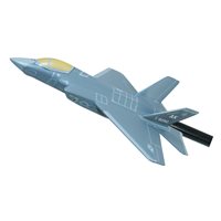 356 FS F-35C Custom Airplane Briefing Stick