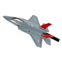 301 FS F-35A Custom Airplane Briefing Stick
