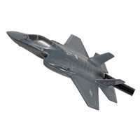 56 TRS F-35A Lightning II Briefing Stick