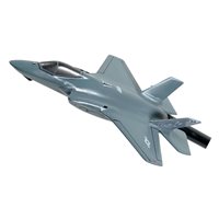 43 FS F-35A Custom Airplane Briefing Stick