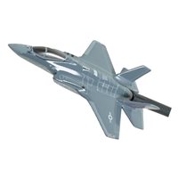 493 FS F-35A Custom Airplane Briefing Stick