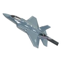 495 FS F-35A Custom Airplane Briefing Stick