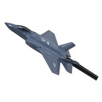 134 FS F-35A Custom Airplane Briefing Stick