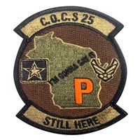 Wisconsin Army AF Patch