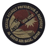 379 AEW SAPR OCP Patch