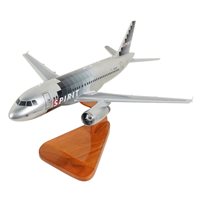 Spirit Airlines A319-132 Custom Aircraft Model