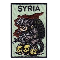C TRP 1-113 CAV Syria Patch