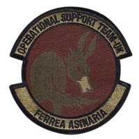 48 MDG Operational Support Team OCP Patch
