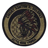 HQ AMC Deloney OCP Patch