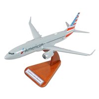 Airlines Boeing 737-823 Custom Airplane Model 